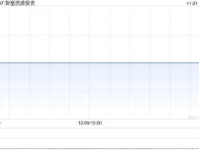 智富资源投资公布中汇获委任为新核数师 继续停牌