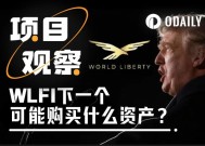 特朗普家族项目WLFI接下来可能买入哪些资产？